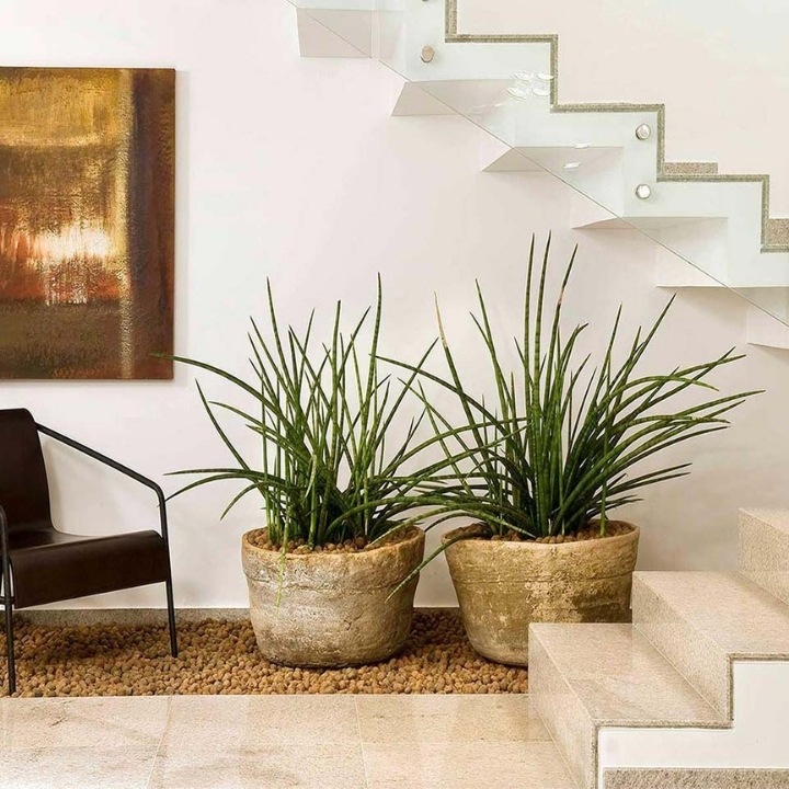 Escadas, projeto 2